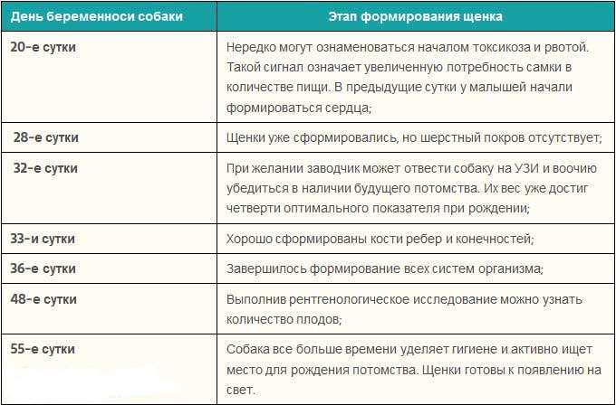 Планирование беременности