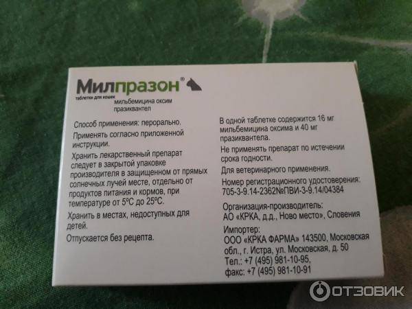 Милпразон для собак — инструкция по применению