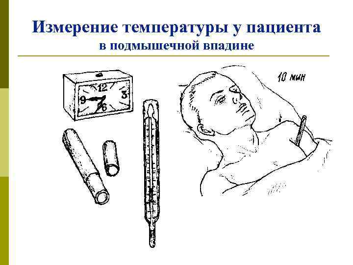Как измерить температуру у кошки в домашних условиях