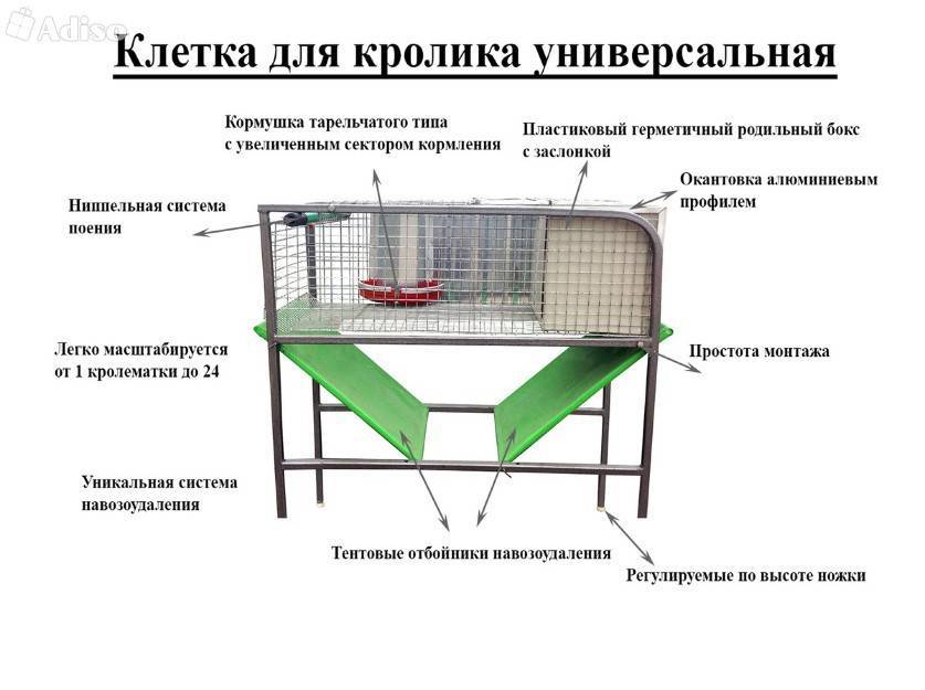 Как разводить кроликов?