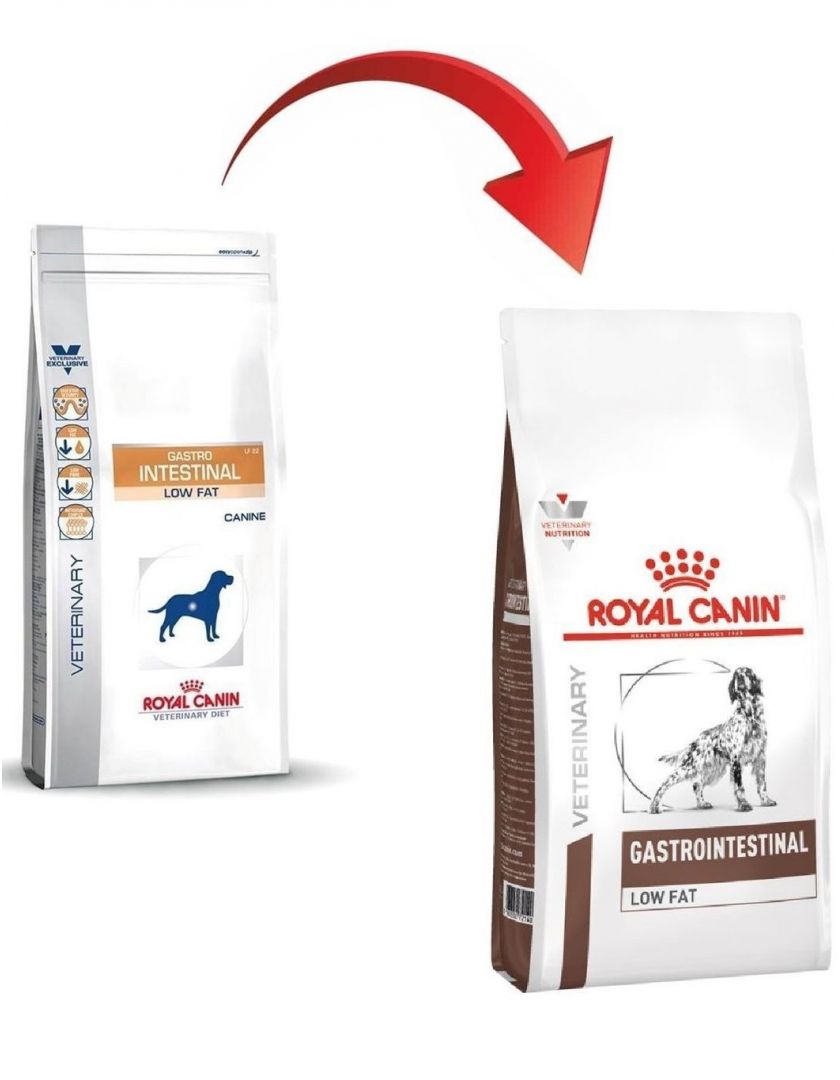 Royal canin gastro intestinal для кошек – из чего состоит и когда необходимо применять корм?