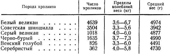 Средний вес кролика по месяцам