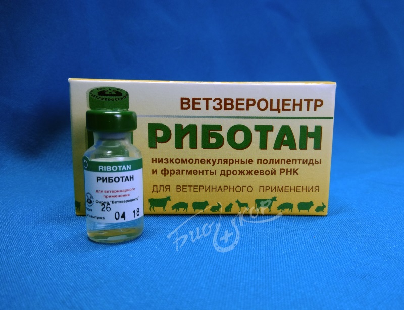 Риботан для собак: инструкция по применению, особенности назначения, дозировка