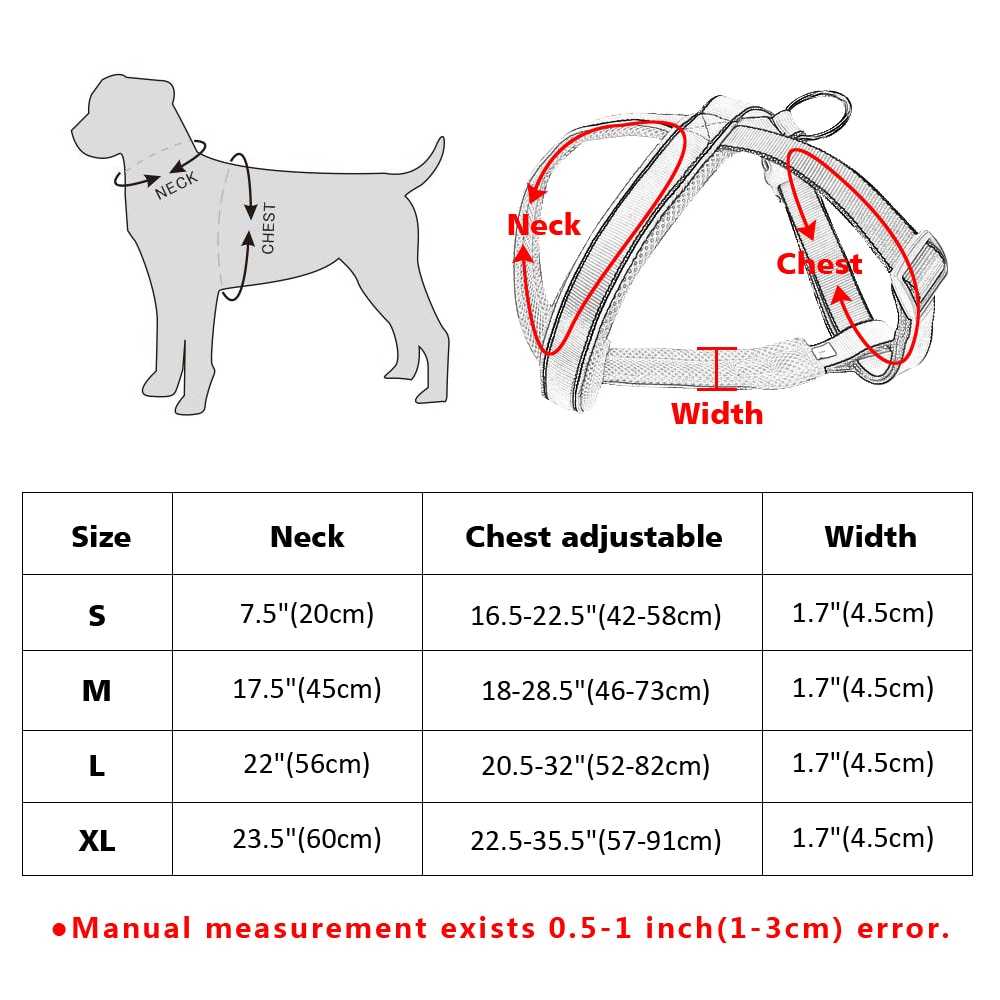 Как правильно снять мерки с собаки для одежды и амуниции