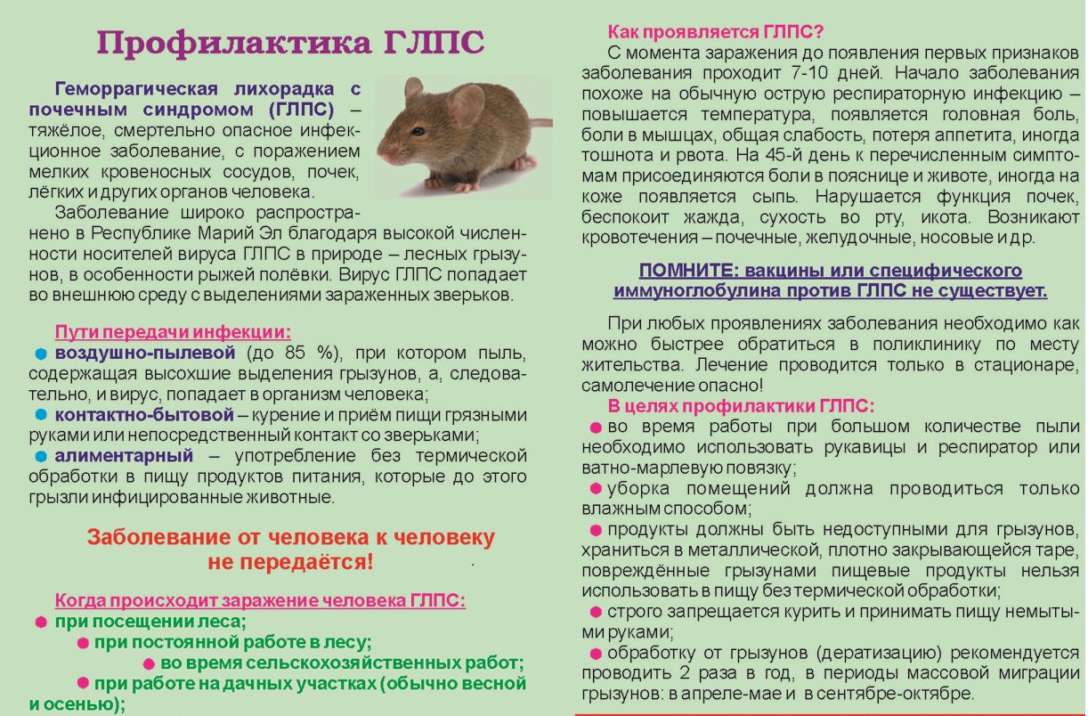 Как передается сальмонеллез от человека к человеку: пути передачи
