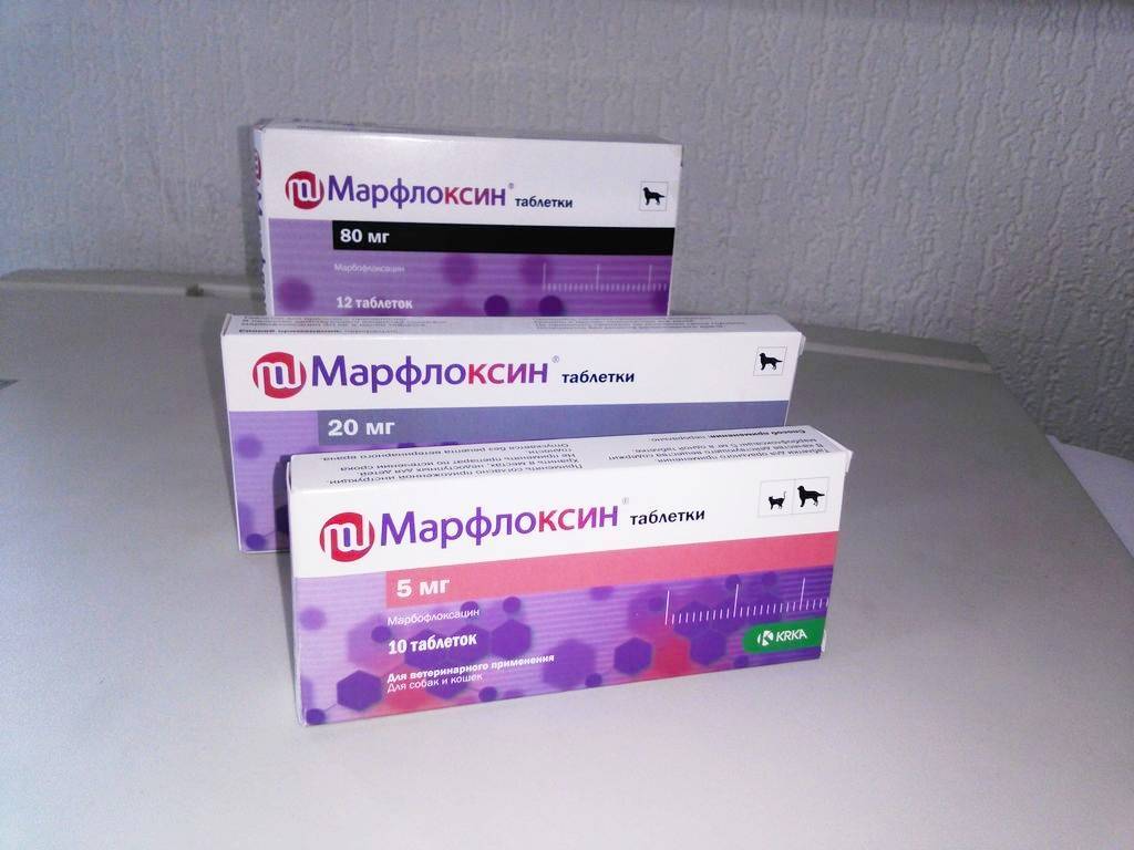 Марфлоксин для кошек и собак: состав и инструкция по использованию таблеток и инъекционного раствора