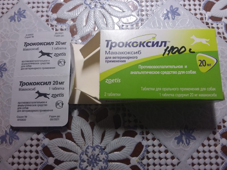 Трококсил для собак: полное описание препарата | ваши питомцы