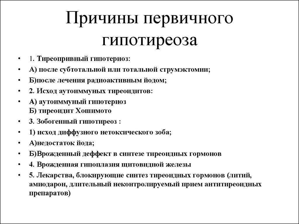 Гипотиреоз у собак: причины, клиническая картина, терапия
