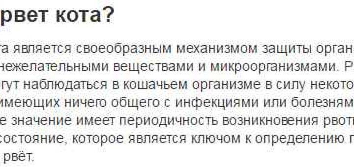 Кошку или кота рвёт: виды рвоты (сухим кормом, жёлтой жидкостью, белой пеной и другие), причины, лечение в домашних условиях