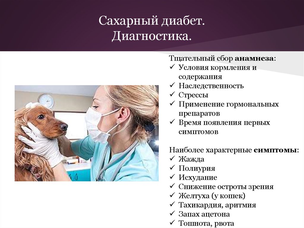 Диабетическая стопа: симптомы, причины, формы и стадии, лечение и профилактика синдрома диабетической стопы