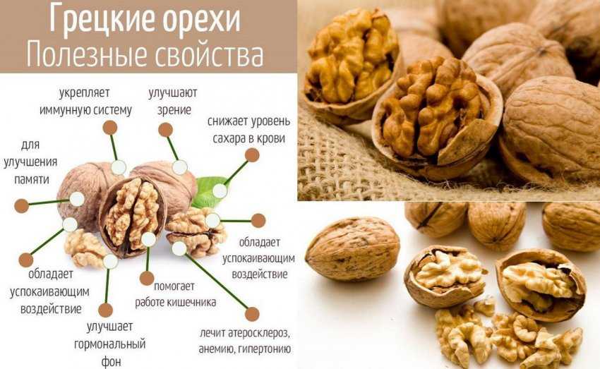 Чем подкормить грецкий орех весной, летом и осенью, как удобрять молодое и взрослое дерево