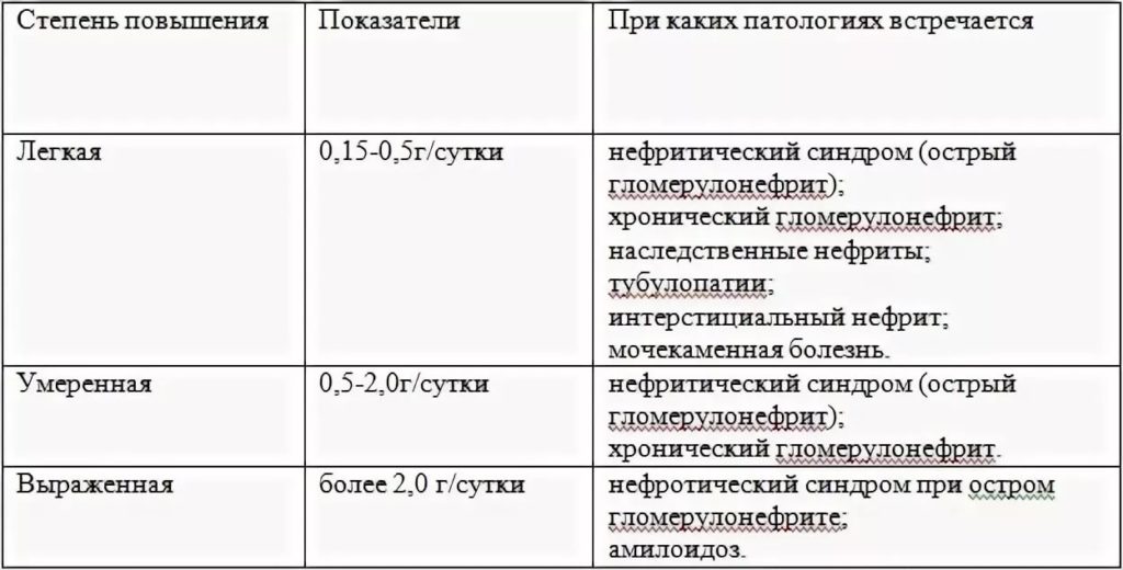 Белок в моче у кошек повышен: причины и лечение, норма