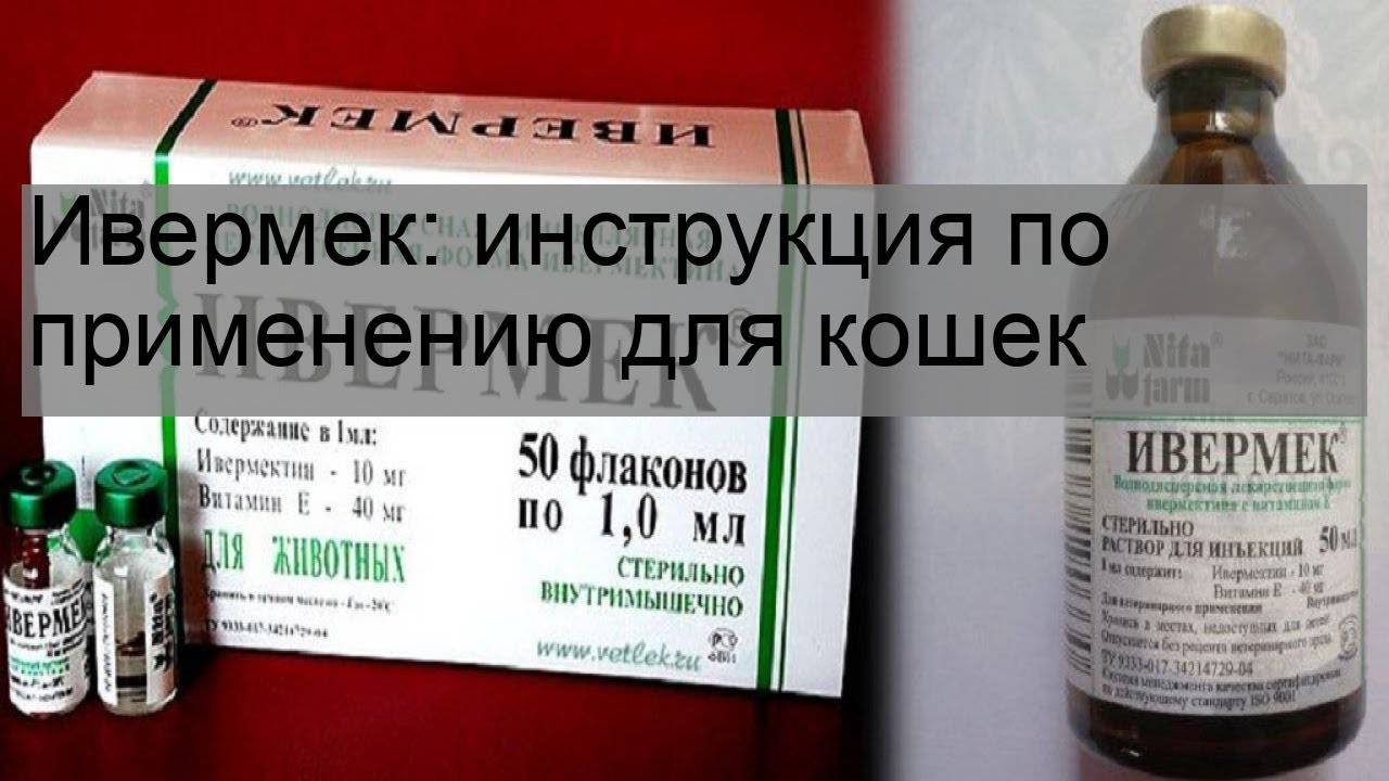 Ивермек для кошек: инструкция по применению препарата на основе ивермектина в ветеринарии, отзывы