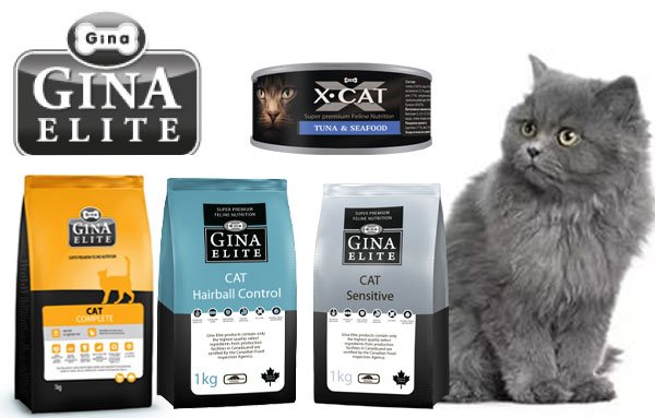 Корм для кошек gina: готовые рационы для домашних любимцев
