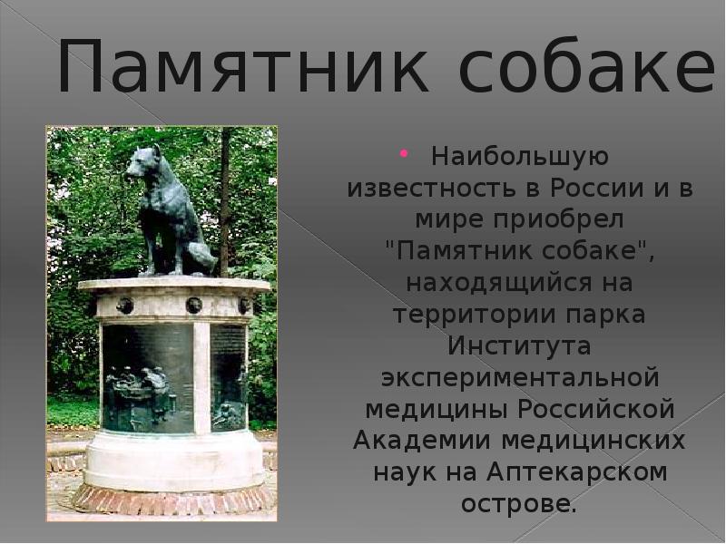 Памятники собакам, установленные во всем мире в честь доблести и преданности четвероногих