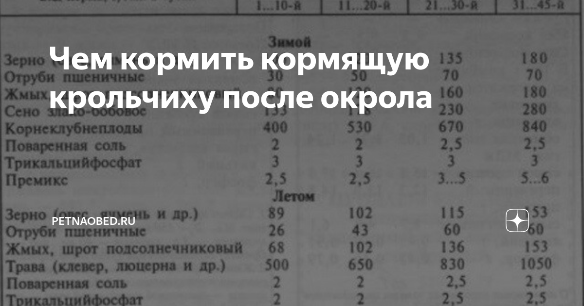 Как выкормить трёхдневных крольчат козьим молоком. | кролики. разведение и содержание в домашних условиях