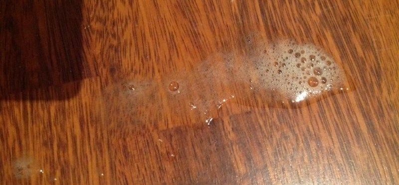 Что делать, если кота рвет белой пеной? причины и как лечить
