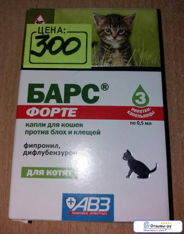 Лучшие капли от блох для кошек
