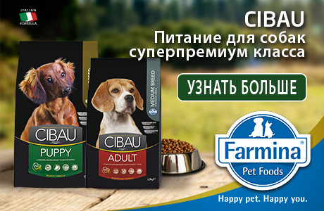 Обзор консерв и сухих кормов от farmina для собаки мелкой или крупной породы