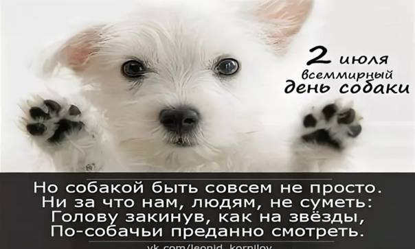 Международный день собак в россии: какого числа