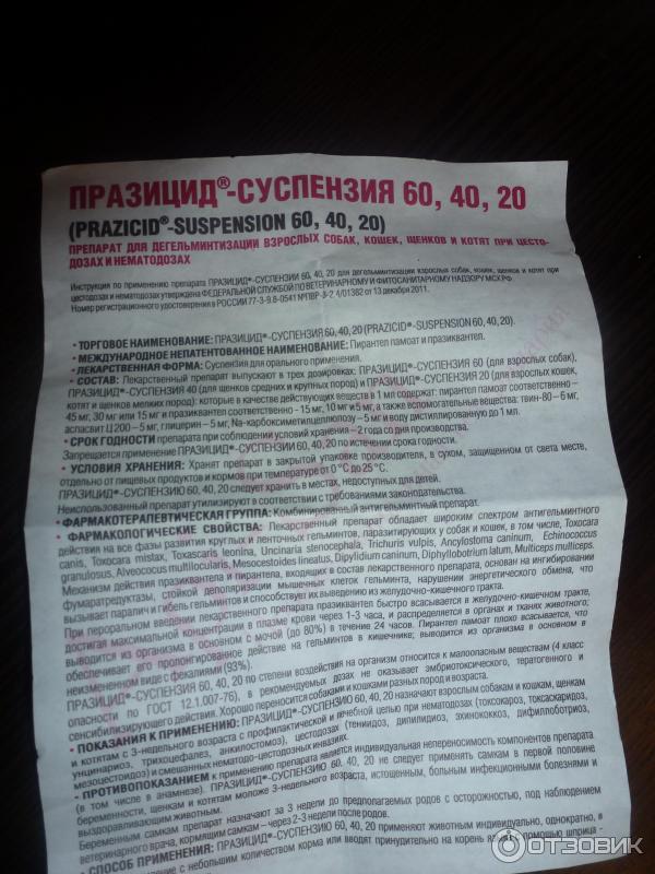 Полный обзор средства против глистов для щенков: празицид-суспензия плюс