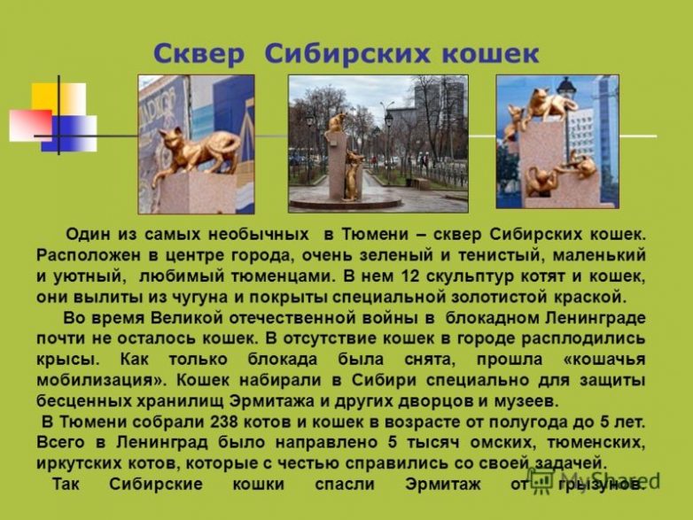 Сквер сибирских кошек, тюмень — история, фото, автор, где находится