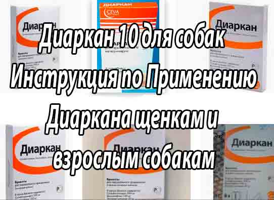 Диаркан для собак: отзывы и инструкция по применению препарата