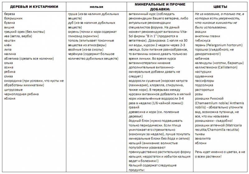 Сколько раз в день кормить хомяка джунгарского, сирийского и другие виды