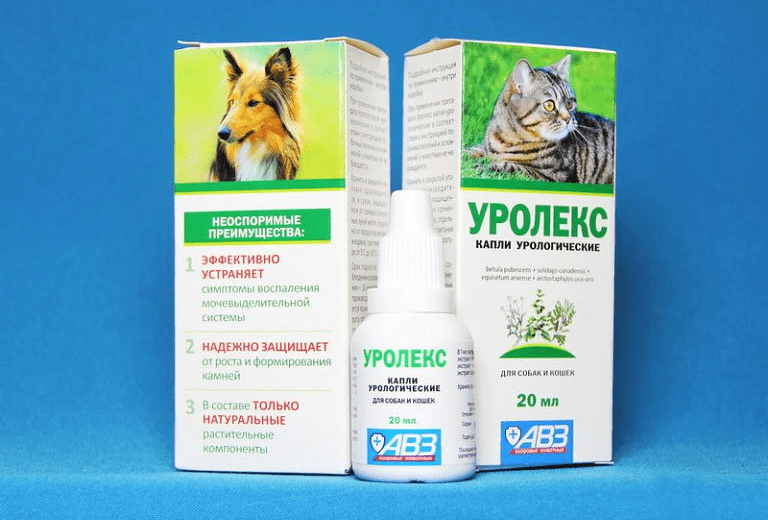 Уролекс для кошек: инструкция по применению, аналоги, отзывы