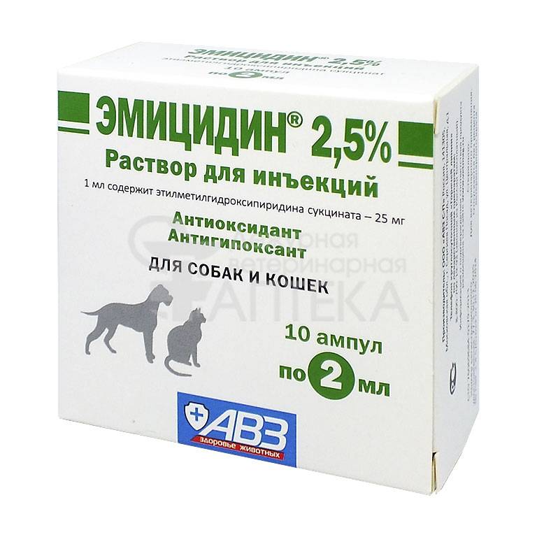 Инструкция по применению препарата «энросепт» в ветеринарии для лечения кошек