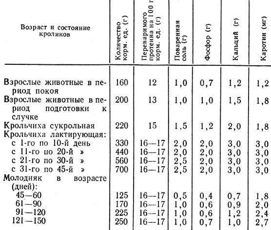 Каким зерном лучше кормить кроликов на мясо в домашних условиях