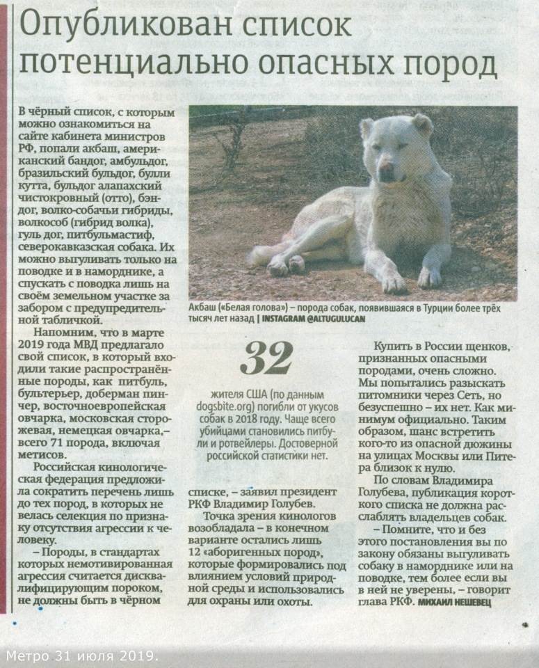 Какие запрещенные породы собак есть в россии