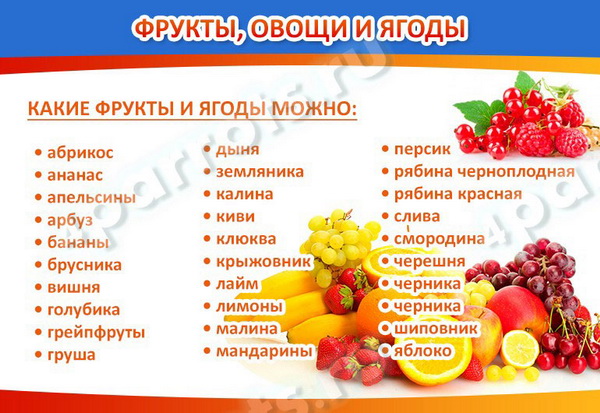 Чем кормить волнистого попугайчика: готовые корма, фрукты, овощи