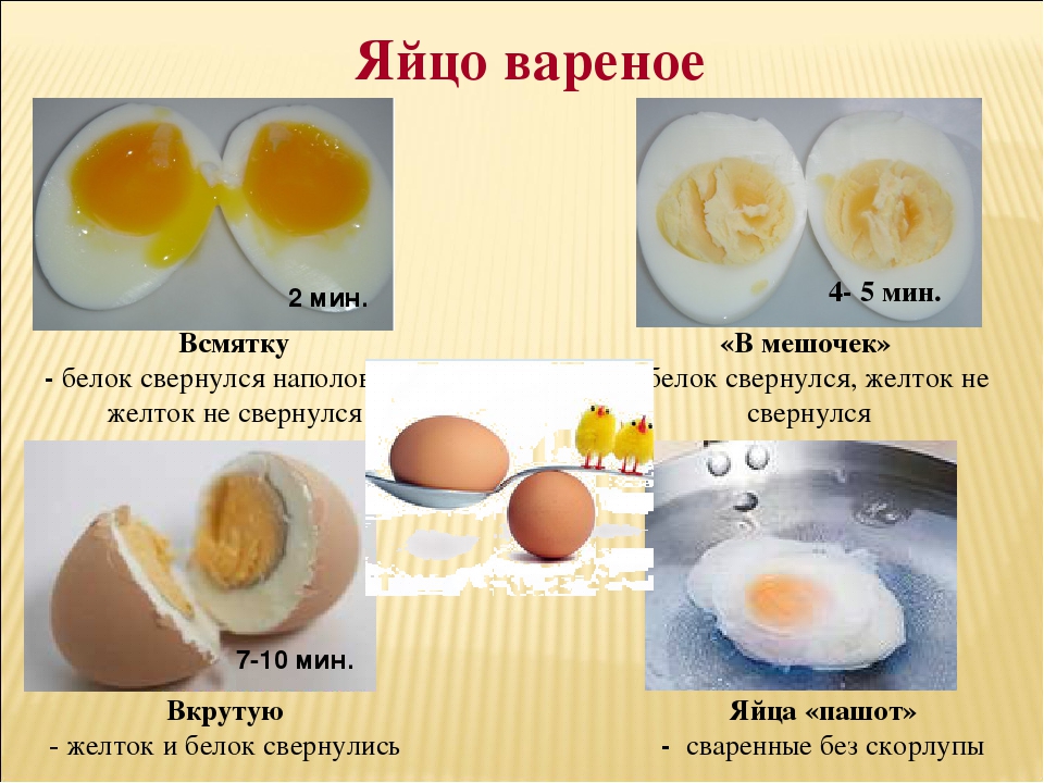 Какие овощи можно крысе,а какие нет. список популярных продуктов