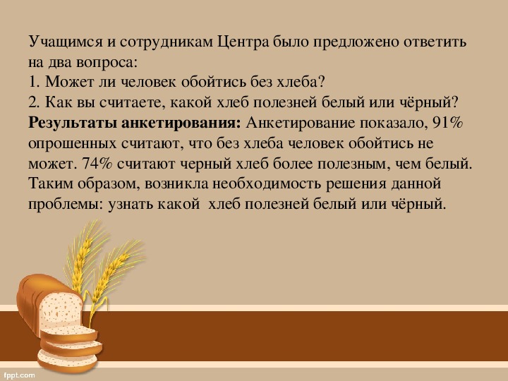 Чем кормить хомяка хлеб