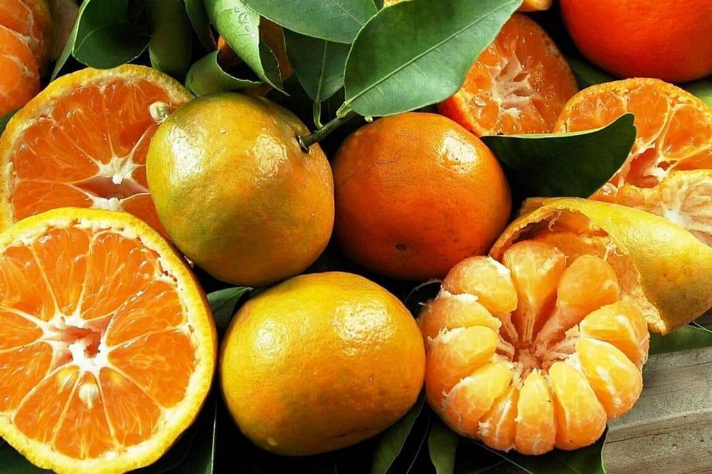 Какими продуктами можно кормить морских свинок - omvesti.com