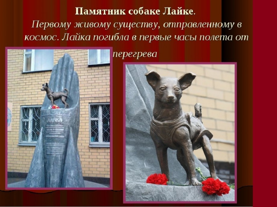 Памятник собаке хатико в японии
