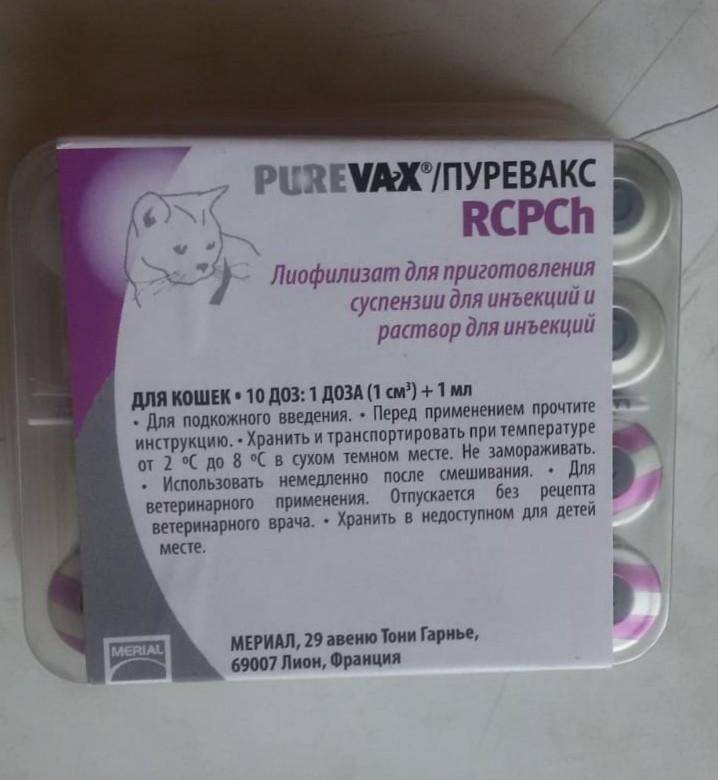 Пуревакс вакцина для кошек: инструкция по применению, показания и противопоказания, аналоги, отзывы