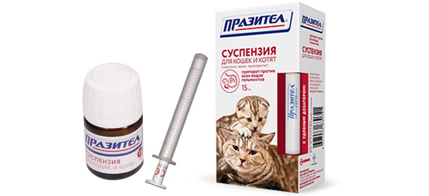«празител» суспензия для кошек и котят: инструкция по применению