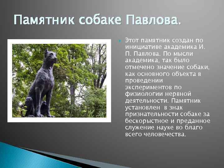 Памятники собаке в городах. Памятник собаке Павлова в Санкт-Петербурге. Памятник собаке Павлова. Памятник собаке Павлова в Питере. Памятник собаке Академика Павлова 12.