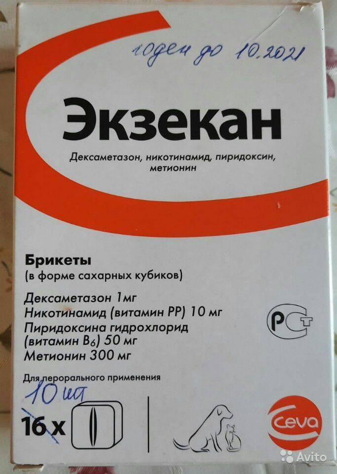 Экзекан для собак: инструкция по применению, дозировка, как давать, аналоги | ваши питомцы