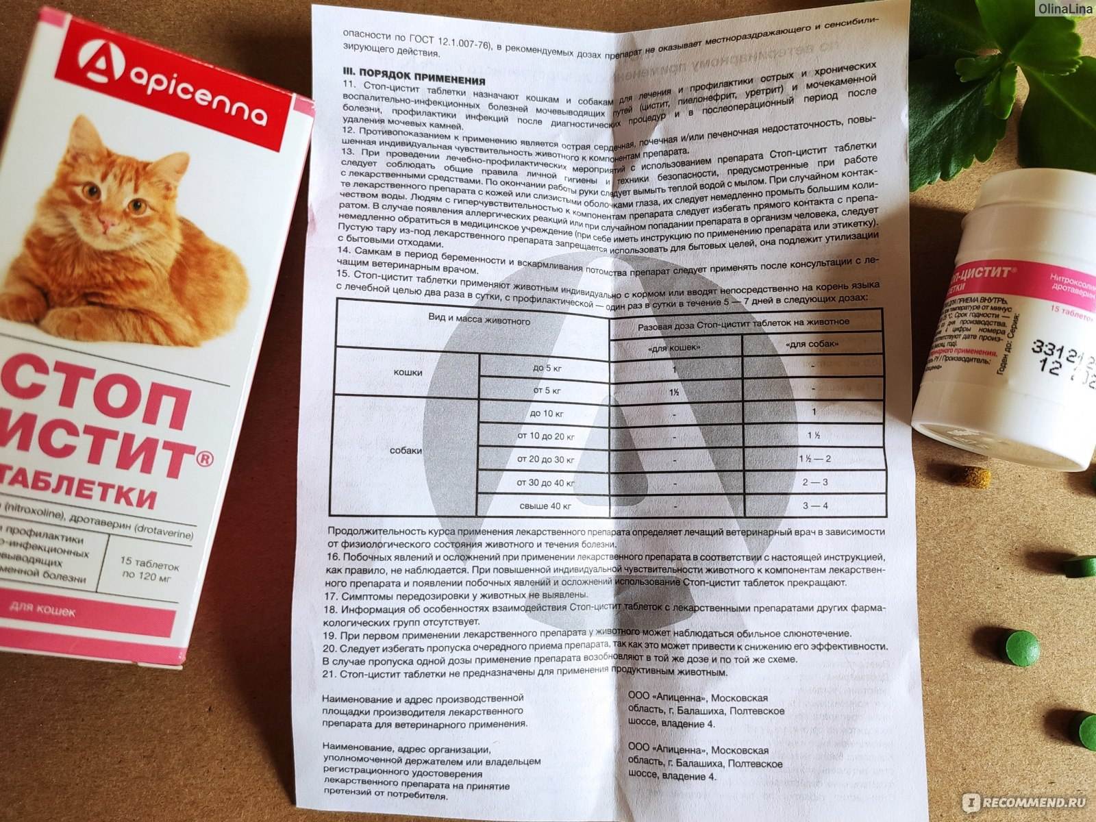 Симптомы, лечение и профилактика заражения котенка глистами: как проглистогонить малыша в домашних условиях?