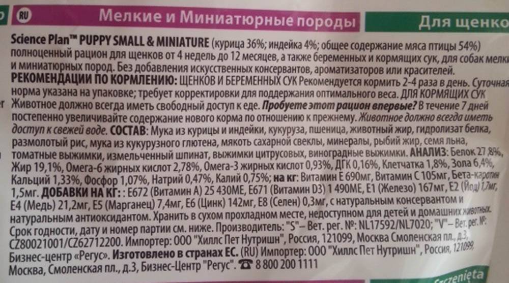 Витамины: классификация, источники