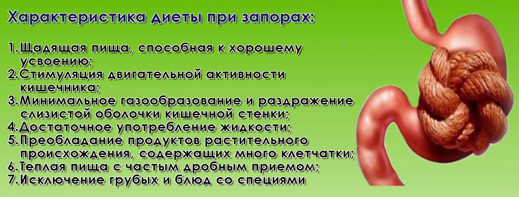 Что делать если морская свинка похудела и перестала есть