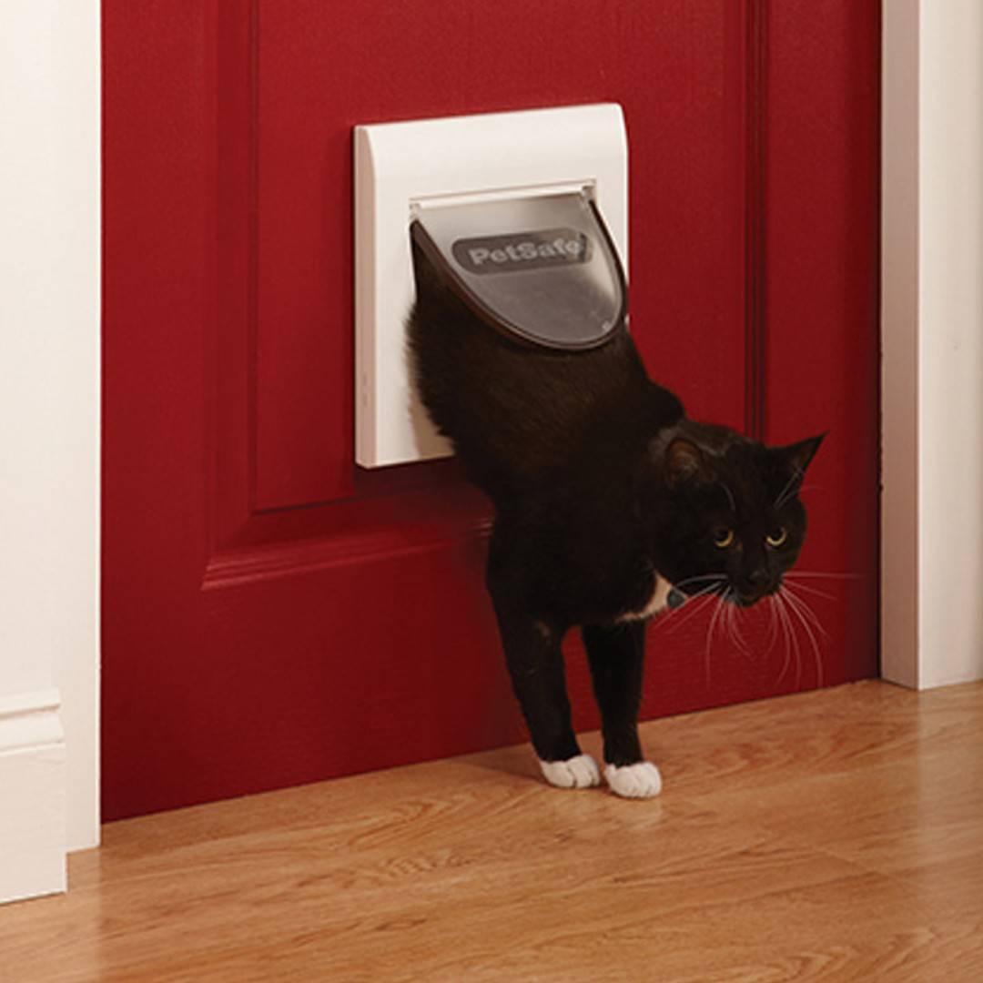 Лаз для кошки в дверь – котоход