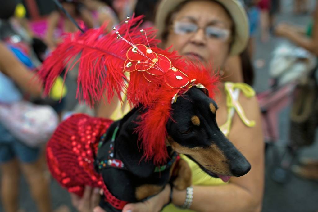 Бразилия. карнавал в рио-де-жанейро