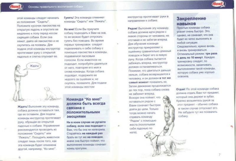 5 способов научить собаку команде «голос» | звери дома