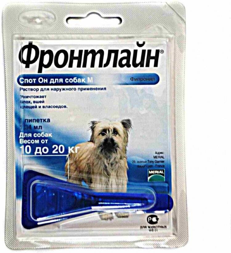 Так ли эффективен фронтлайн для кошек и котов? отзывы