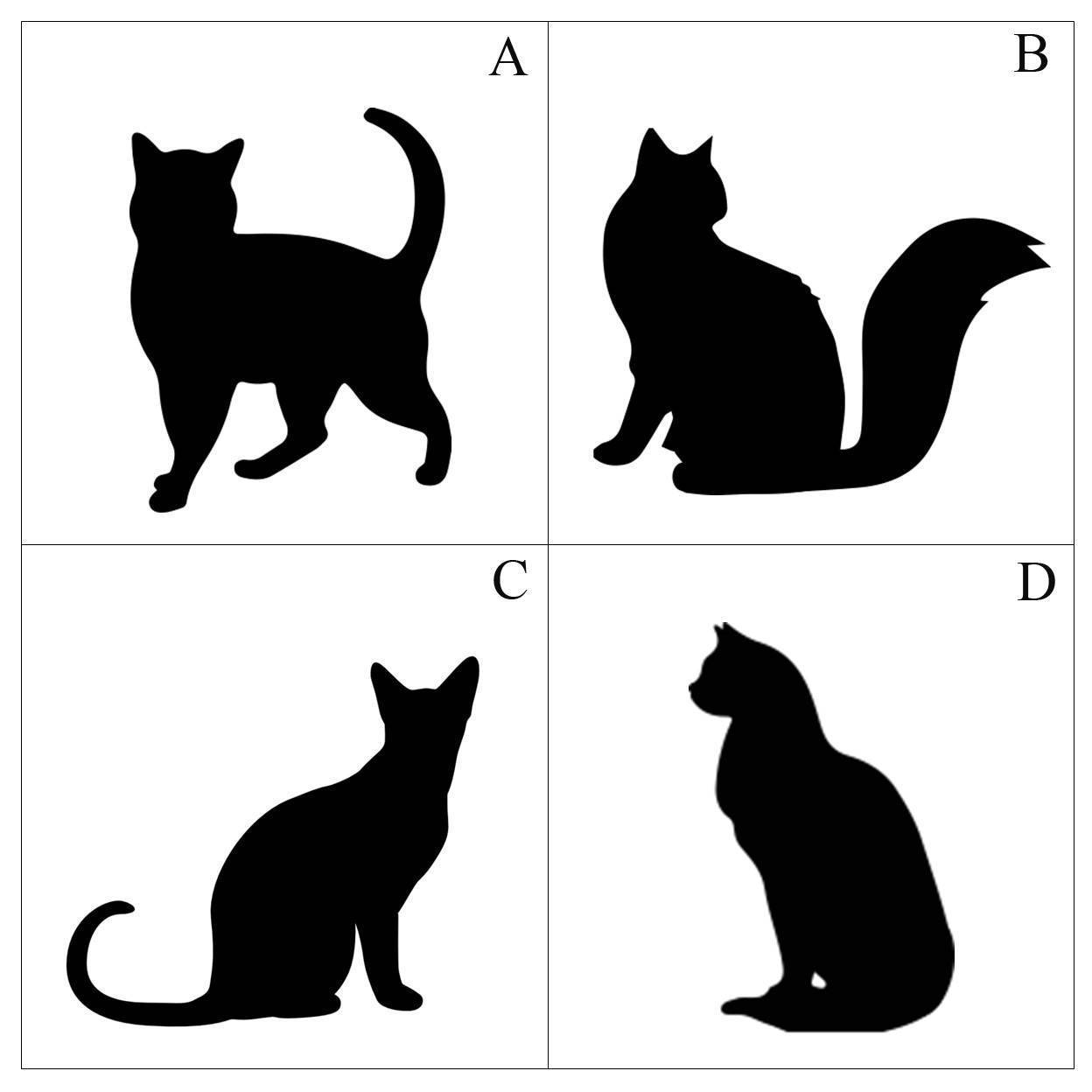 Аппликация кошка из цветной бумаги и ткани: шаблоны для младшей, средней и старшей группы