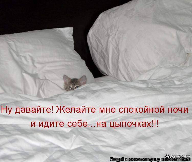 Кот ночью не дает спать что делать: как успокоить котенка когда он бесится?